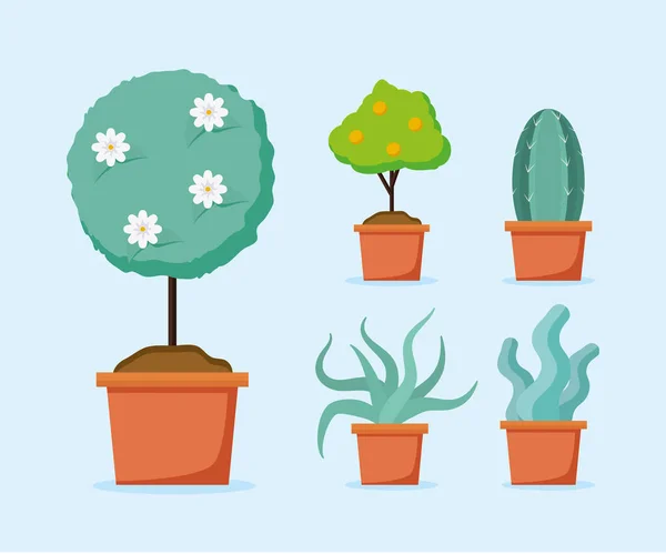 Plantas decoración jardinería diseño plano — Vector de stock