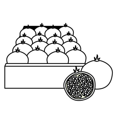 tropikal meyve tasarım