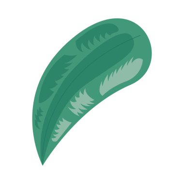 Doğal Botanik yaprak yeşillik