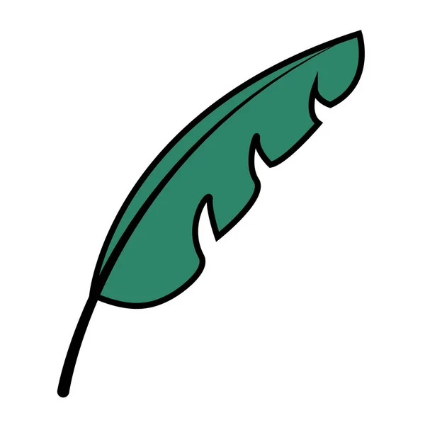 Зеленый лист ботанической листвы — стоковый вектор