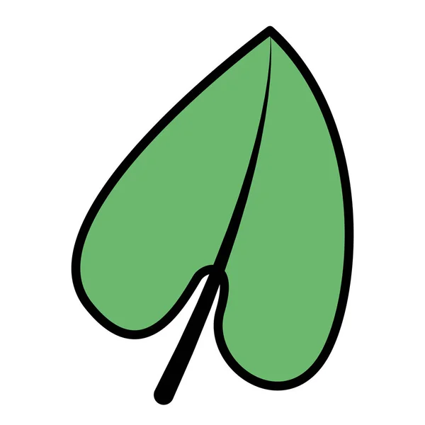 Zöld levél botanikai lombozat ikon — Stock Vector