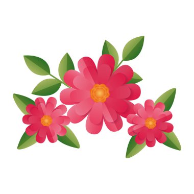 çiçekler yaprakları yaprakları