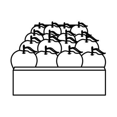 tropikal meyve tasarım