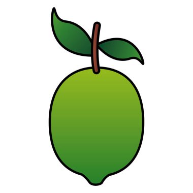 Beyaz arka planda narenciye taze limon