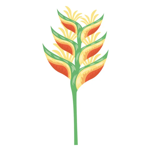 热带异国情调的花卉装饰图标 — 图库矢量图片