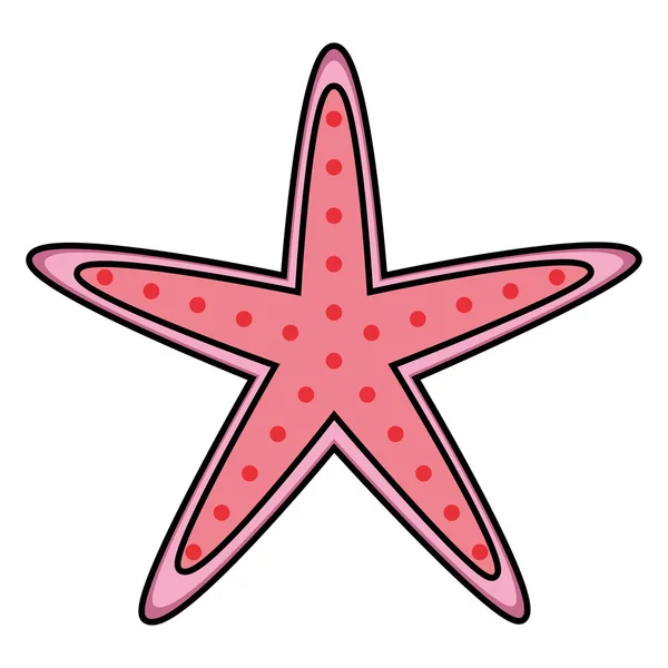 Étoiles de mer sur fond blanc — Image vectorielle