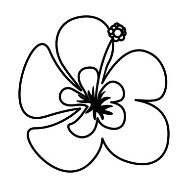 egzotik dekorasyon simge tropikal çiçek