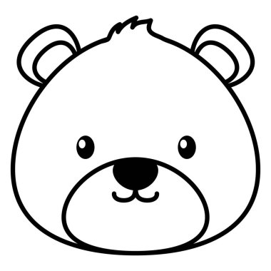 beyaz arka planda oyuncak ayı yüzü