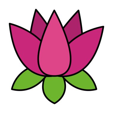 Indian Lotus Çiçek Doğa simge