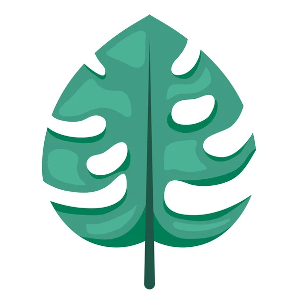 Grüne Blatt-Monstera-Pflanze — Stockvektor