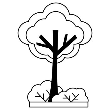 beyaz arka planda doğal ağaç çalıları