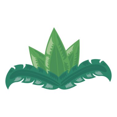 tropikal yaprak yaprakları yeşillik düzenleme