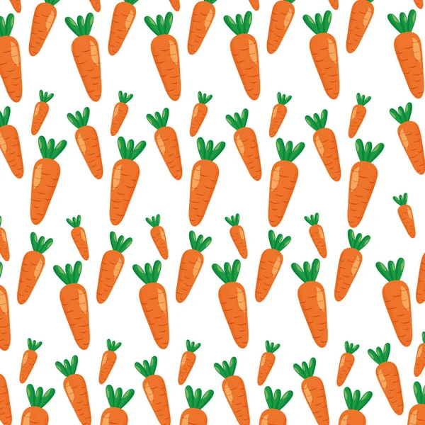 Zelenina čerstvá mrkev — Stockový vektor