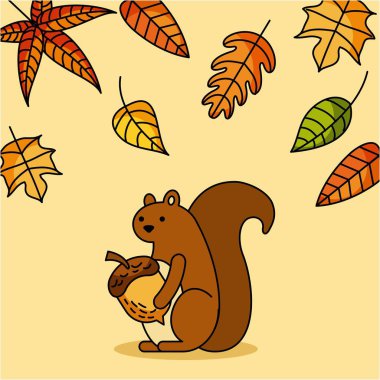 Hayvan Hayvansal sezon sonbahar sincap