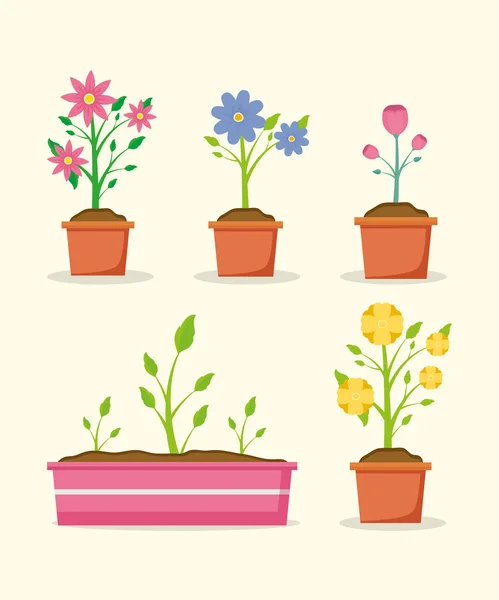 Plantas decoración jardinería diseño plano — Vector de stock