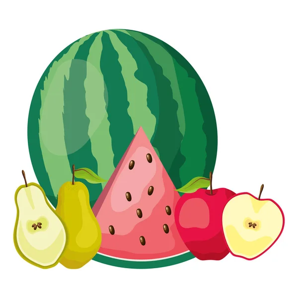 Desenho de frutas tropicais — Vetor de Stock