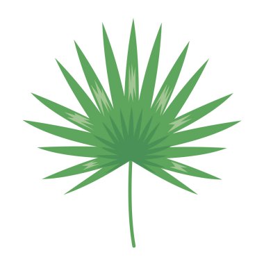 dal yaprakları yeşillik botanik