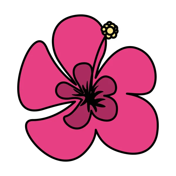 Tropische exotische bloem decoratie pictogram — Stockvector