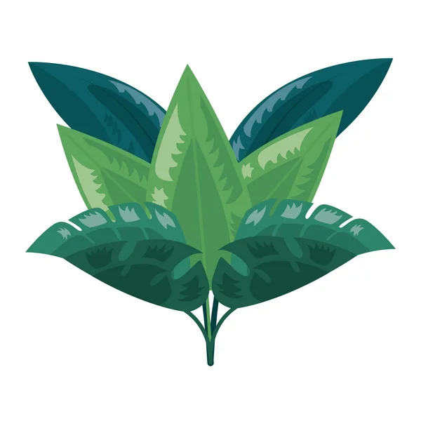 Follaje de hojas tropicales arreglo — Archivo Imágenes Vectoriales
