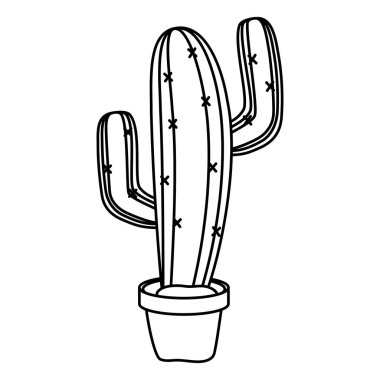 pot simgesinde meksika kaktüs