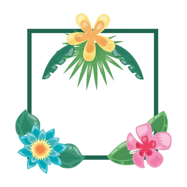 Fleurs tropicales feuilles cadre décoration — Image vectorielle