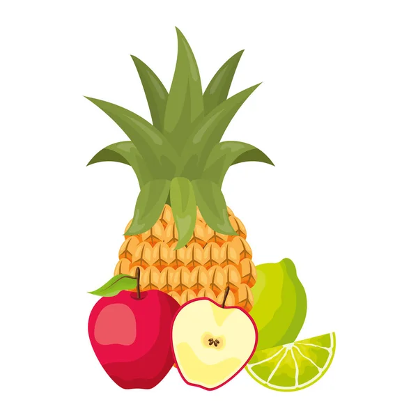 Diseño de frutas tropicales — Vector de stock