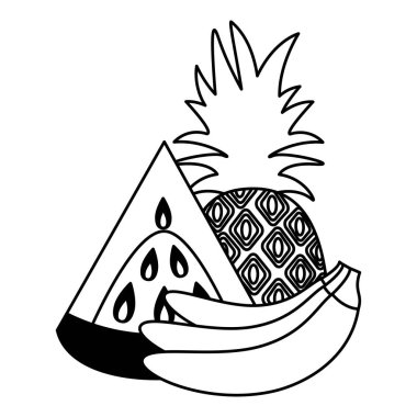 karpuz ananas muz tropikal meyve