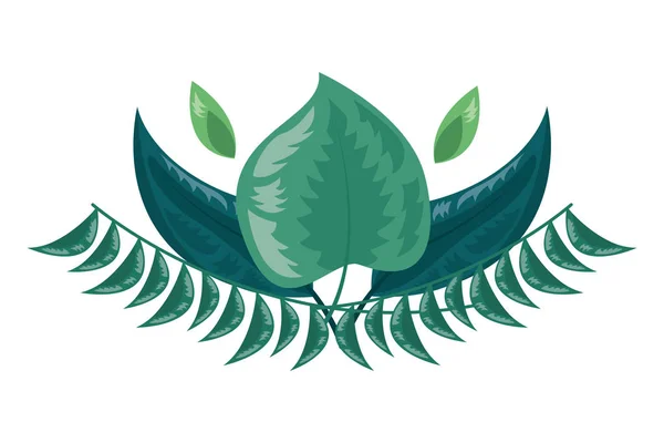 Ботаническая листва — стоковый вектор