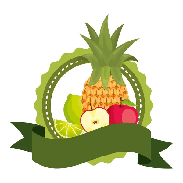 Desenho de frutas tropicais — Vetor de Stock