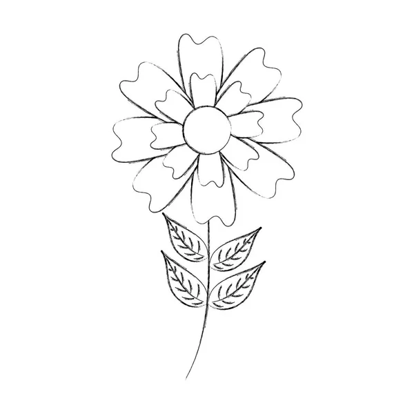 Aster kwiat liść naturalny płatki łodyga — Wektor stockowy
