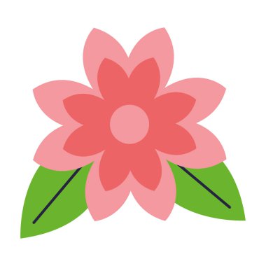 çiçek yaprakları ve beyaz arka plan yaprakları