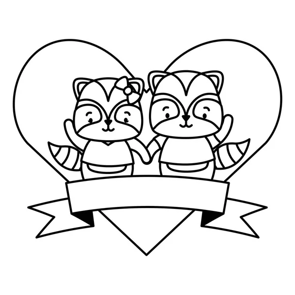 cute couple raccoon animals heart love ribbon