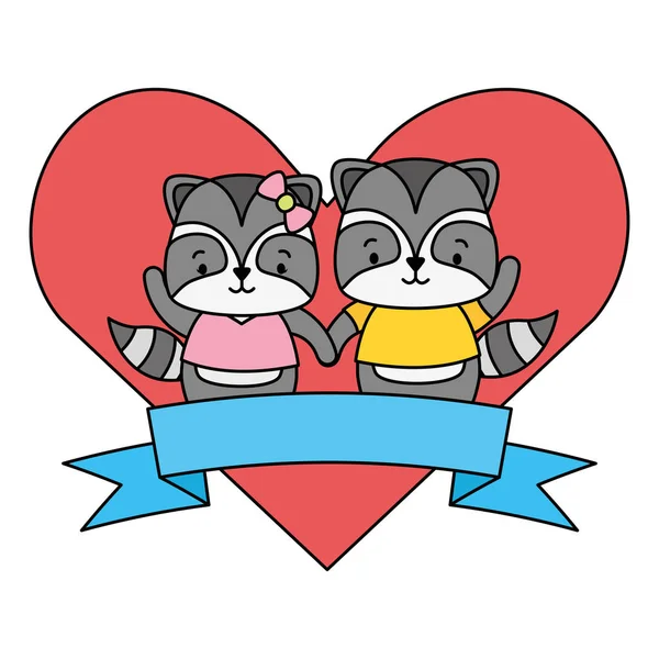 Bonito casal guaxinim animais coração amor fita — Vetor de Stock