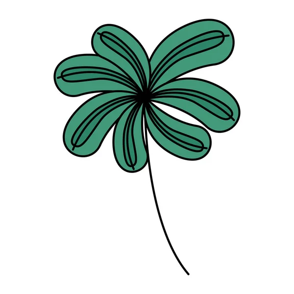 Feuilles de branche feuillage botanique — Image vectorielle