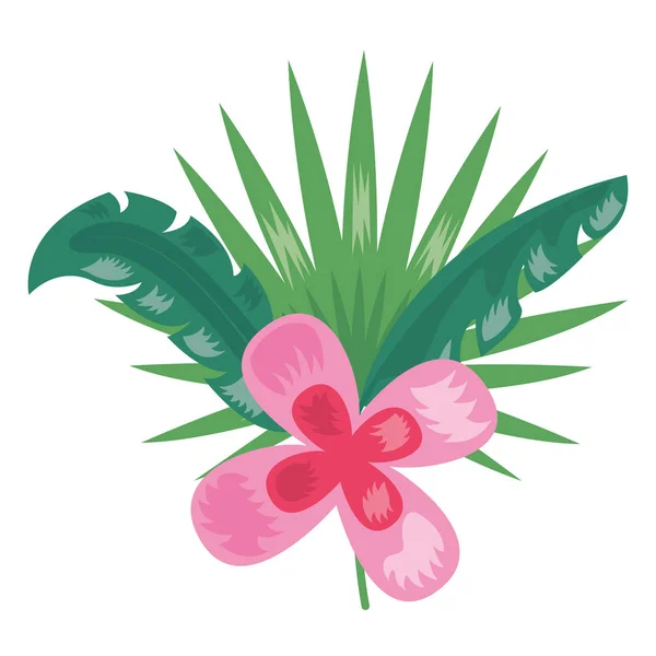 Tropische Blütenblätter botanische Dekoration — Stockvektor