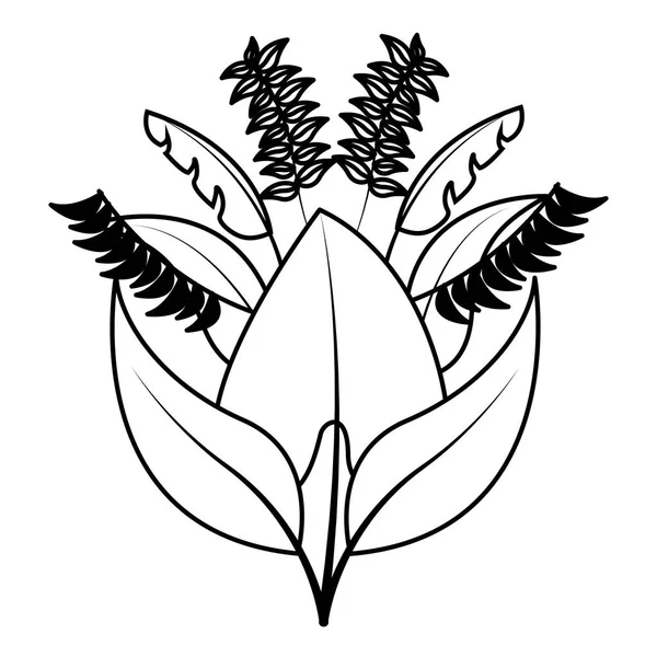 식물 잎 단풍 배열 — 스톡 벡터