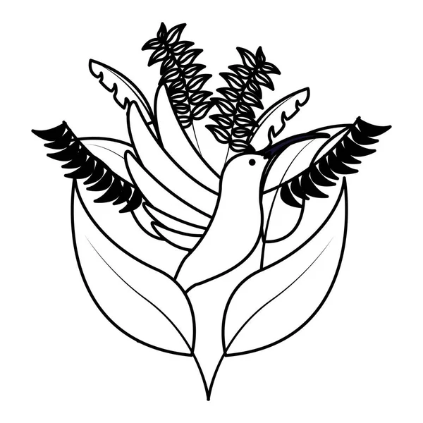Листья листвы колибри — стоковый вектор