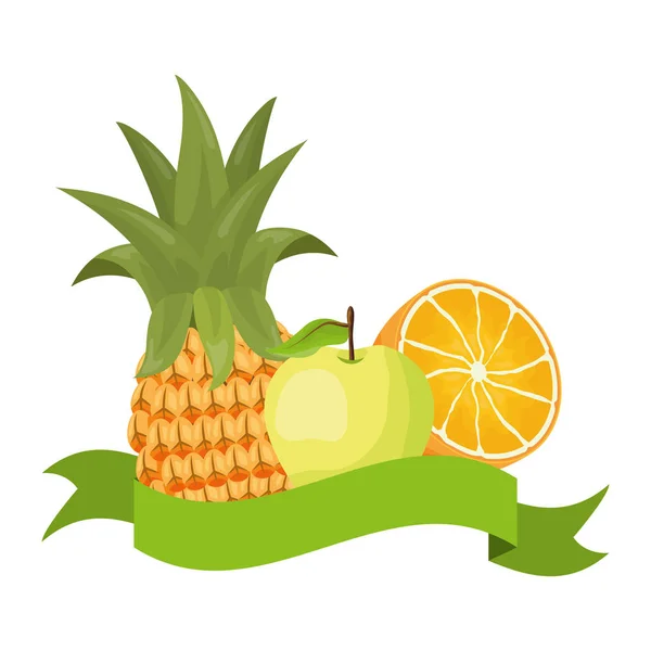 Conception de fruits tropicaux — Image vectorielle