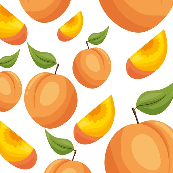 Design tropischer Früchte — Stockvektor