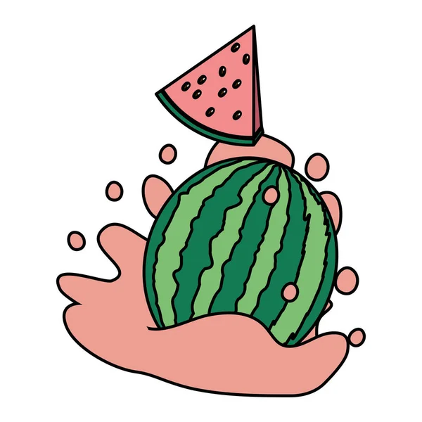 Desenho de frutas tropicais — Vetor de Stock