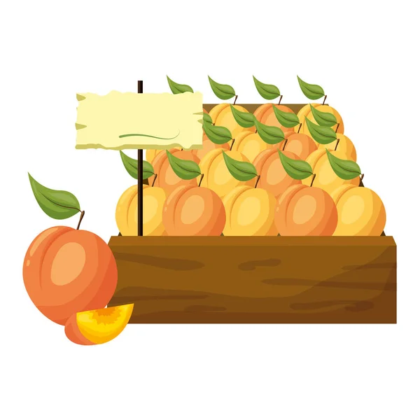 Diseño de frutas tropicales — Vector de stock