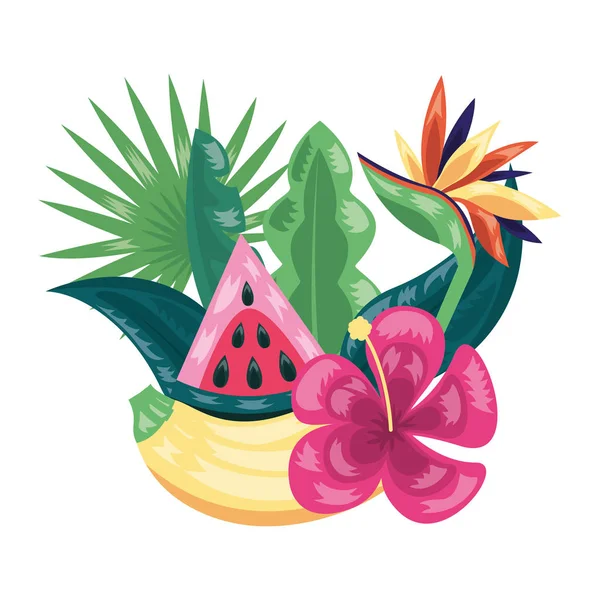 Sandía de plátano frutas tropicales follaje exótico — Vector de stock