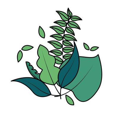 botanik yaprak yaprakları düzenlemesi