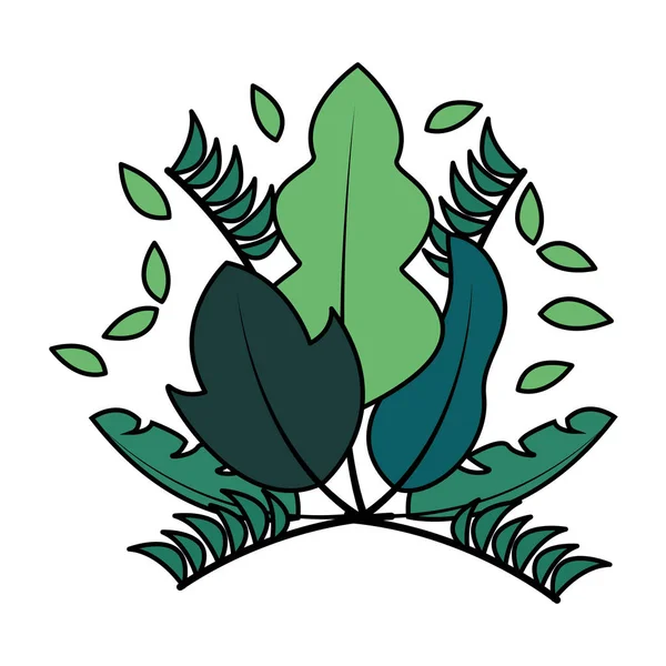 植物の葉の葉の配置 — ストックベクタ