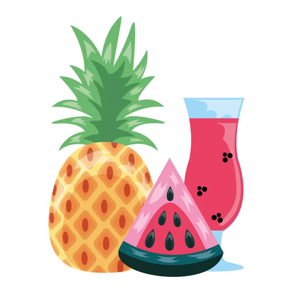 Melon d'eau jus d'ananas fruits tropicaux — Image vectorielle