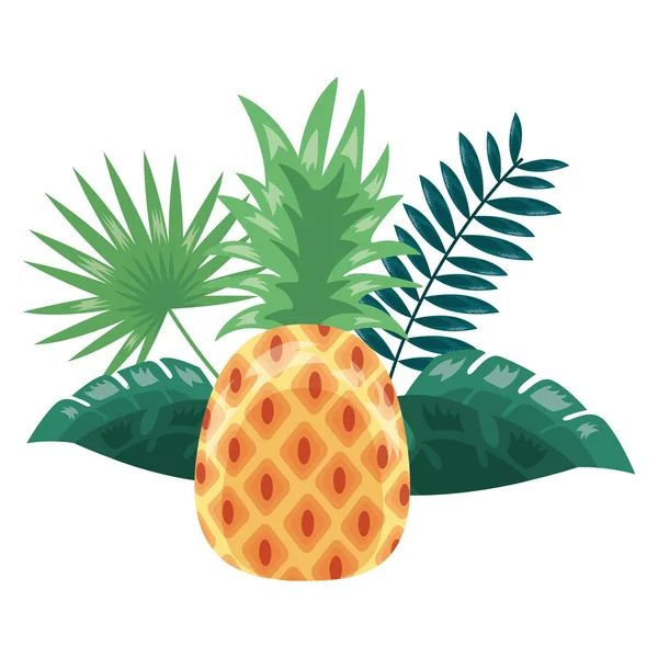 Piña frutas tropicales follaje exótico — Vector de stock