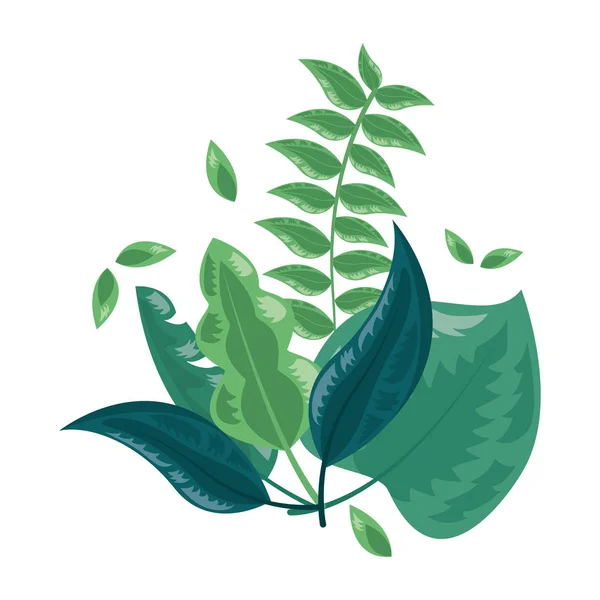 Układ liści liści botanicznych — Wektor stockowy
