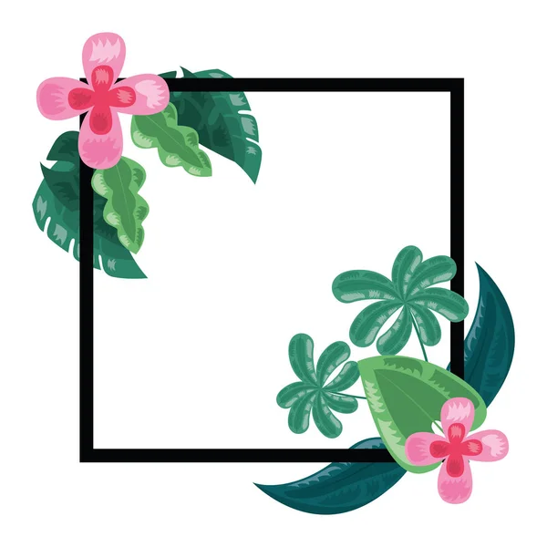 Feuilles de fleurs tropicales décoration cadre feuillage — Image vectorielle