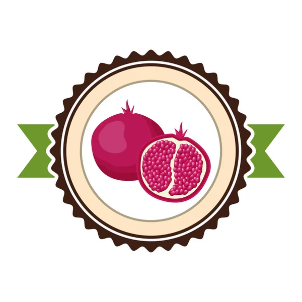 Σχεδιασμός τροπικά φρούτα — Διανυσματικό Αρχείο