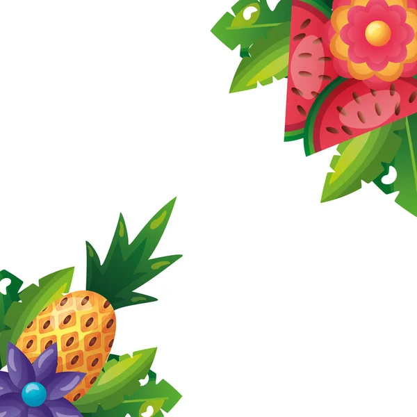 Piña tropical sandía hojas de flores — Vector de stock